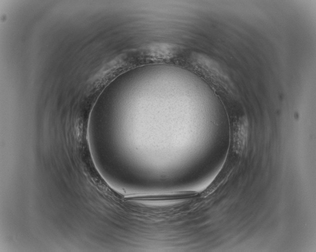 X0000086080608200703231406