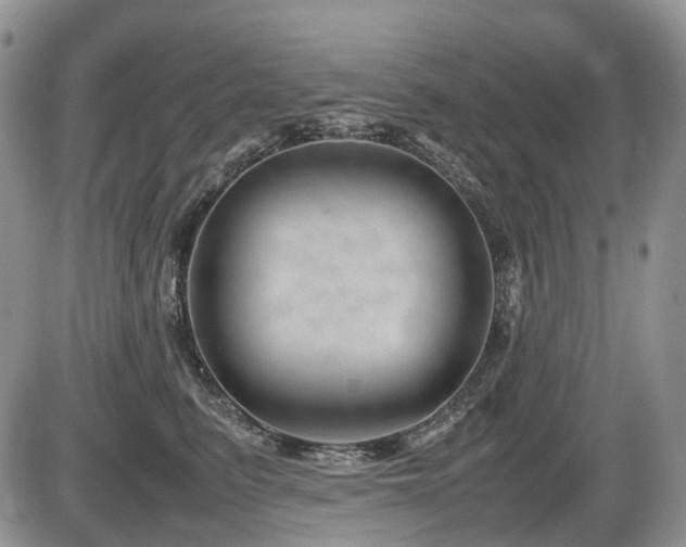 X0000086080615200703231406