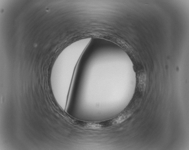 X0000086080617200703231406