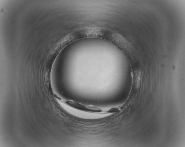 X0000086080619200703231406