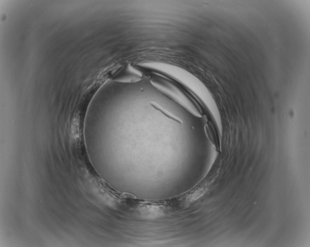 X0000086080620200703231406