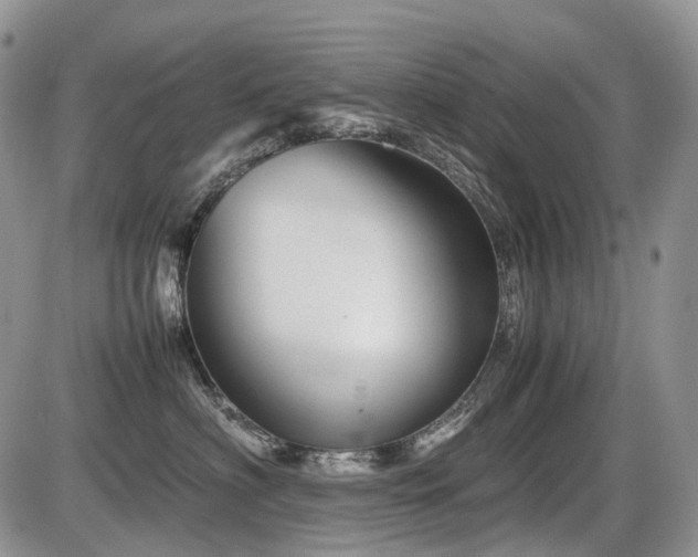 X0000086080622200703231406