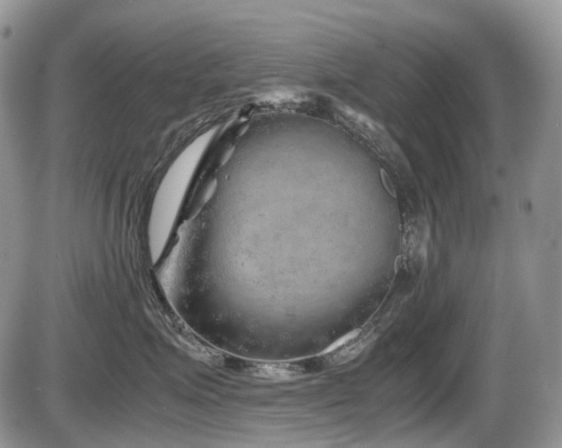 X0000086080623200703231406