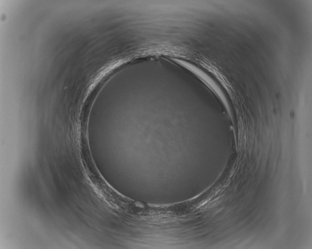 X0000086080626200703231405