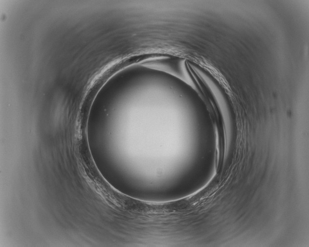 X0000086080628200703231405
