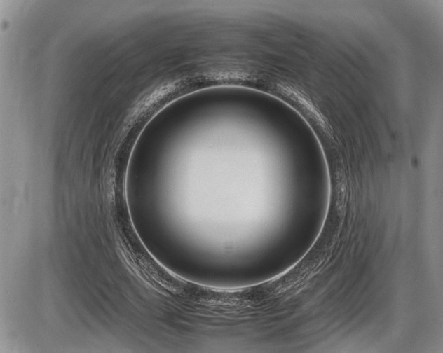 X0000086080631200703231405