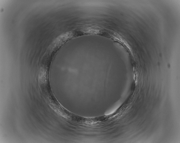 X0000086080641200703231405