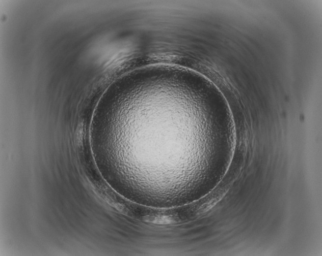 X0000086080647200703231406