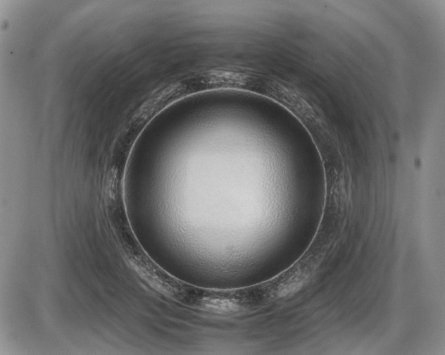 X0000086080649200703231406