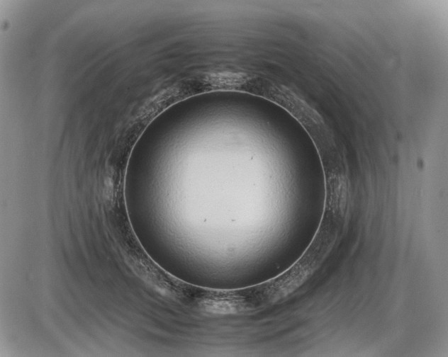 X0000086080655200703231406