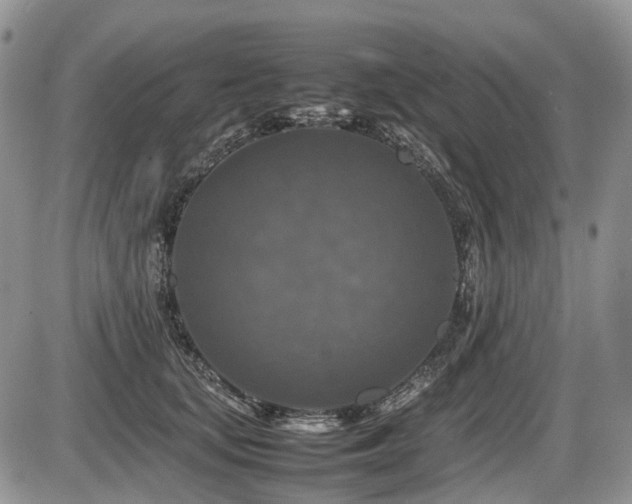 X0000086080659200703231406