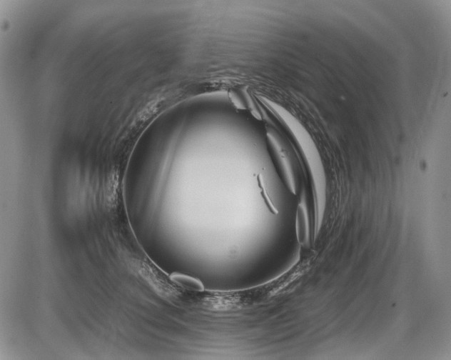 X0000086080660200703231406