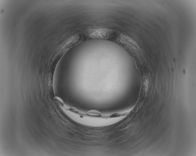 X0000086080665200703231406