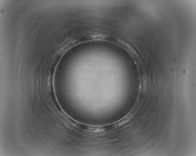 X0000086080667200703231406