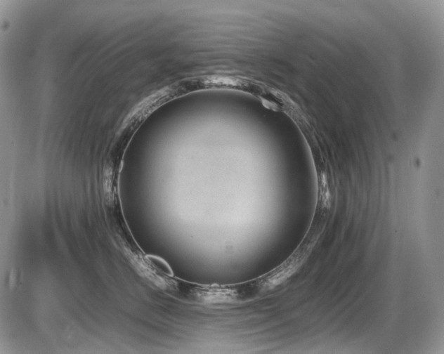 X0000086080670200703231406