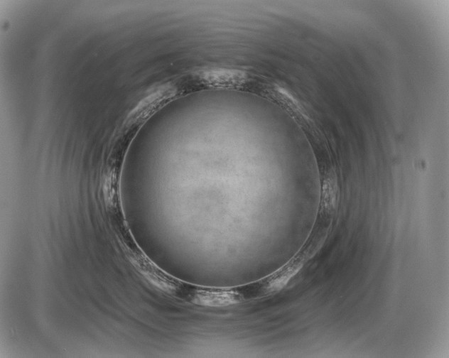 X0000086080671200703231406