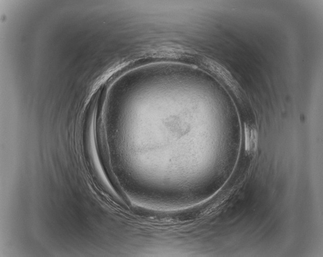 X0000086080675200703231405