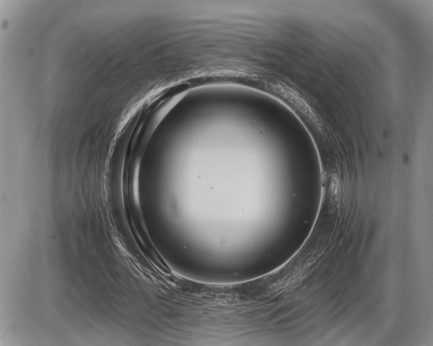 X0000086080676200703231405