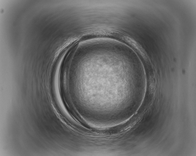 X0000086080677200703231405