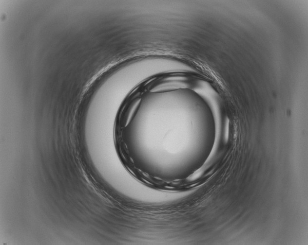 X0000086080684200703231405