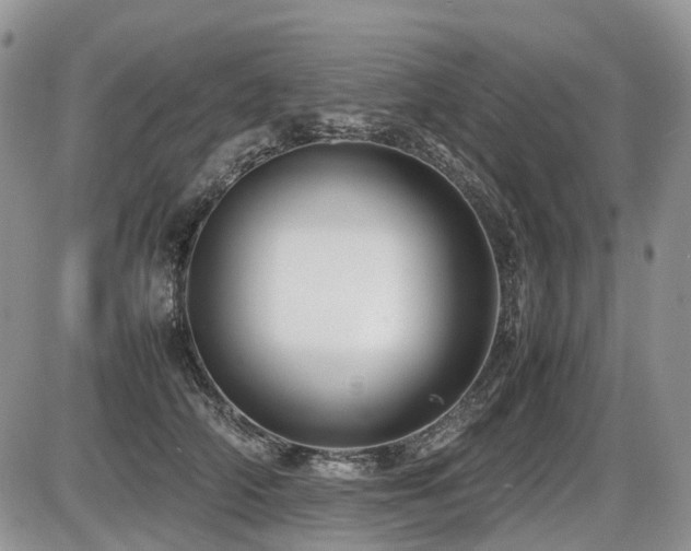 X0000086080706200703231405