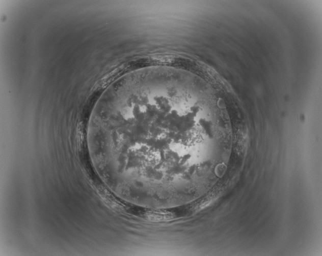 X0000086080707200703231405