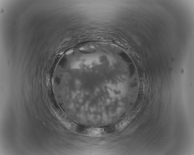 X0000086080711200703231405