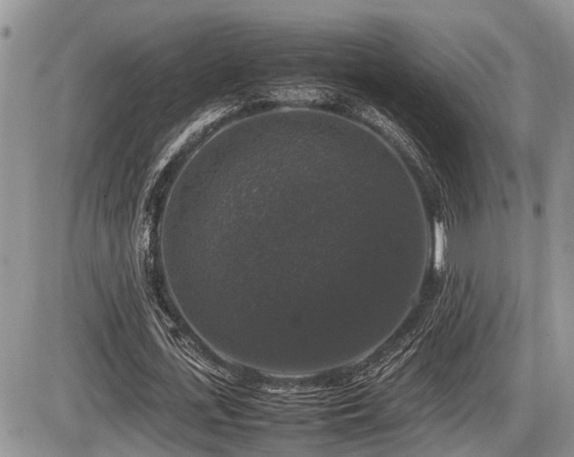 X0000086080723200703231404