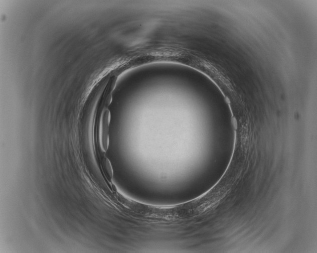 X0000086080727200703231404