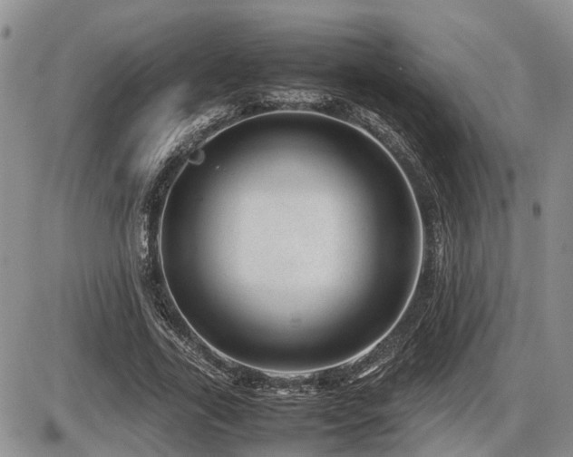 X0000086080731200703231404