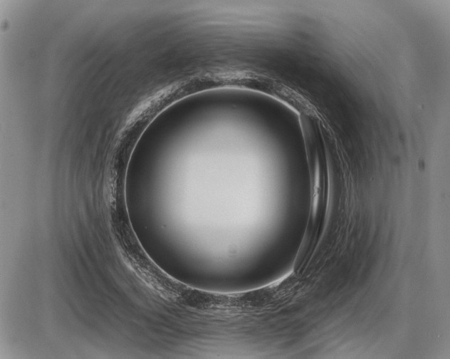 X0000086080732200703231404