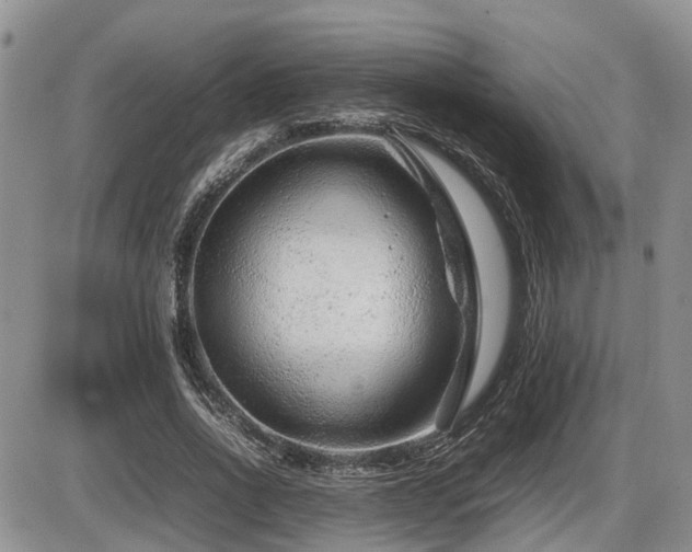 X0000086080734200703231404