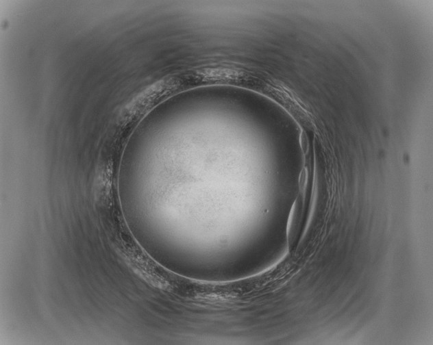 X0000086080737200703231404
