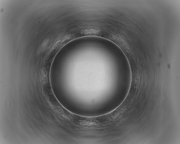 X0000086080743200703231404