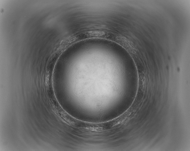 X0000086080745200703231404