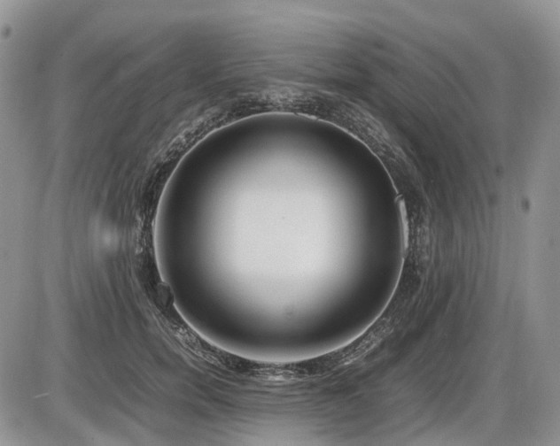 X0000086080750200703231404