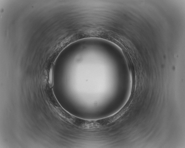 X0000086080752200703231404