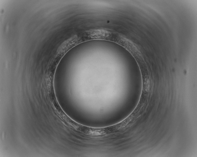 X0000086080753200703231404