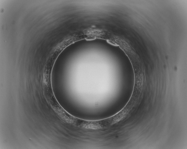 X0000086080755200703231404