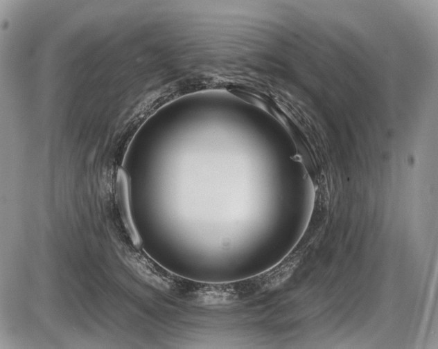 X0000086080756200703231404