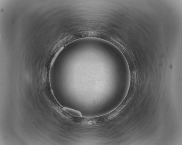 X0000086080760200703231404