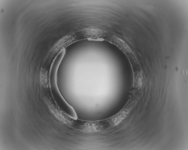 X0000086080764200703231404