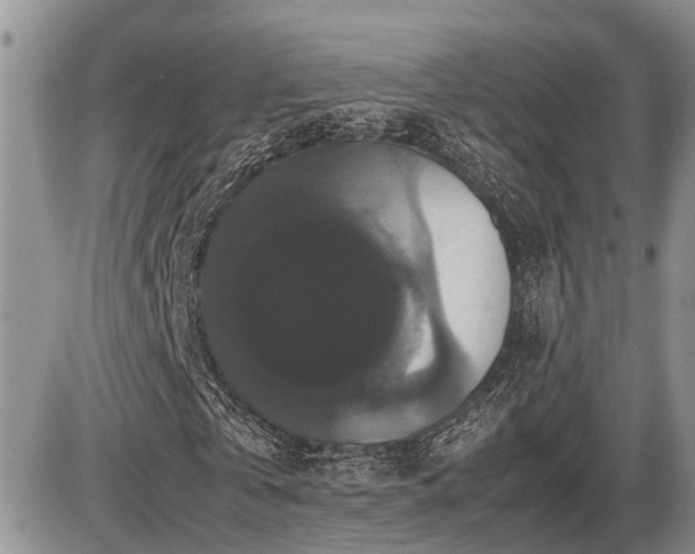 X0000086080769200703231404
