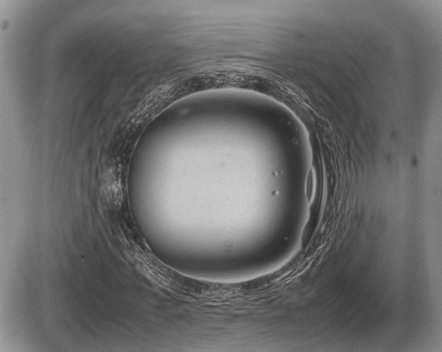 X0000086080771200703231403