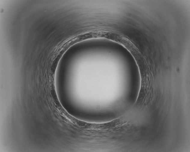 X0000086080773200703231403