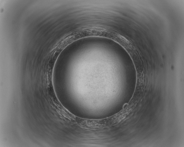 X0000086080774200703231403