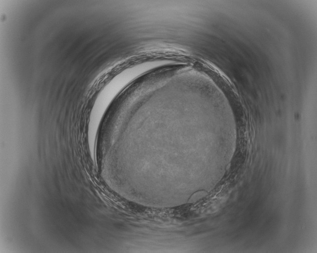 X0000086080775200703231403