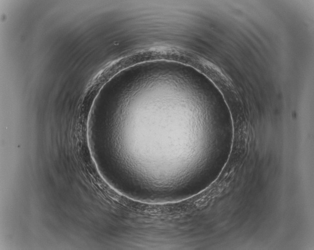 X0000086080776200703231403