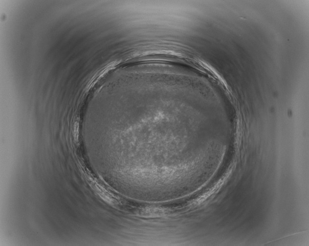 X0000086080777200703231403