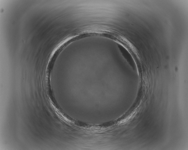 X0000086080779200703231403